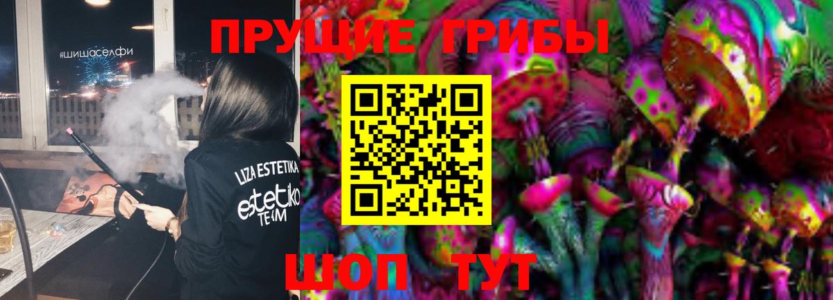 что такое   Вход с VPN  Нягань  Псилоцибиновые грибы Psilocybine cubensis 